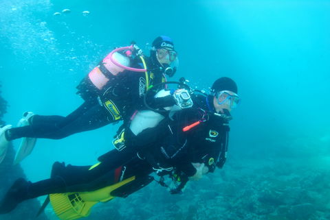 Shellharbour Scuba  And Photography Centre - Attractions Las Vegas 1