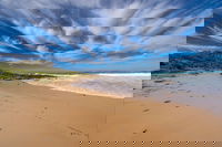 Shelly Beach