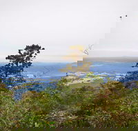 Slingsbys Trail and Syndicate Ridge Track - Attractions