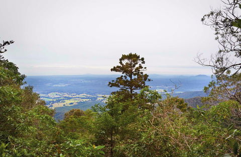 Slingsbys Trail And Syndicate Ridge Track - Attractions 0
