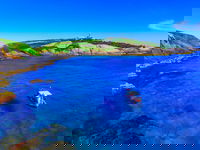 Snorkelling Montague Island