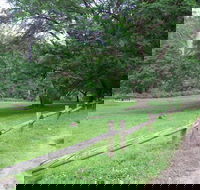 St Albans Reserve - Attractions
