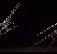 Sydney Dance Company - Attractions