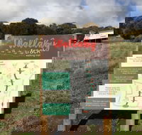 The Wallaby Track - Attractions