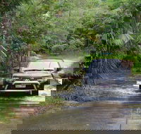 The Pioneer Valley and Eungella National Park - Attractions