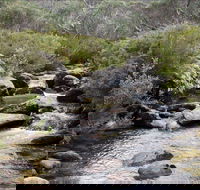 Thredbo River Track - Attractions