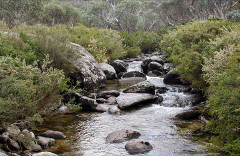Thredbo River Track - Attractions 0