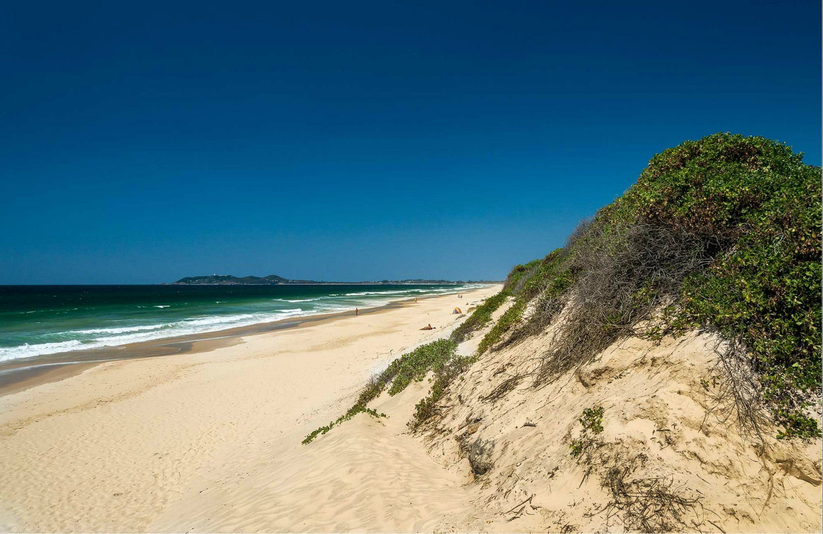 Talofa NSW Attractions