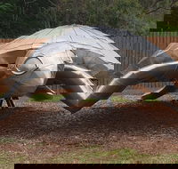 Underwater Marine Sculptures - Attractions