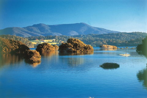 Wagonga Picnic Area - Attractions 0