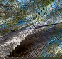 Wallumatta Nature Reserve - Attractions