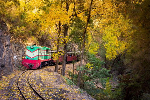 Walhalla Goldfields Railway - Attractions 2