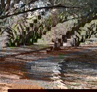 Warrego Floodplain walking track - Attractions