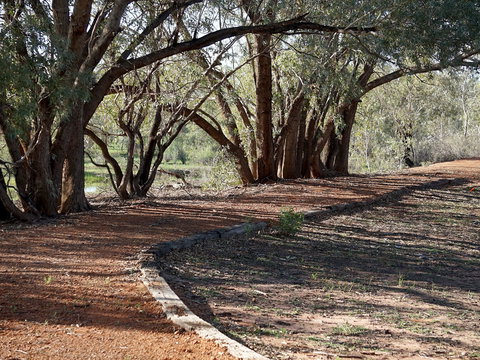 Warrego Floodplain Walking Track - Attractions 0