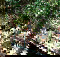 Watagans National Park - Attractions