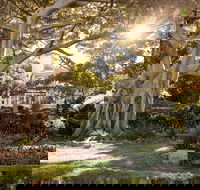 Wendy Whiteley's Secret Garden - Attractions