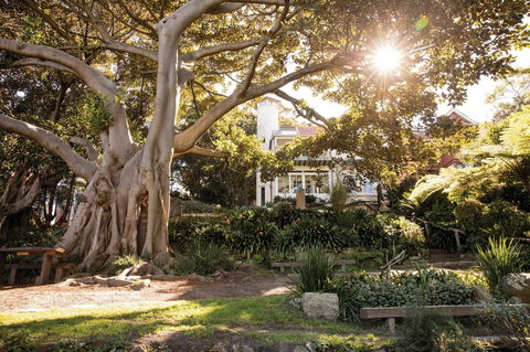 Wendy Whiteley's Secret Garden - Attractions 0