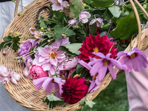 White Cottage - Attractions 2