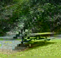 Williams River picnic area - Attractions