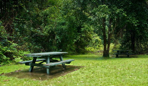 Williams River Picnic Area - Attractions 0