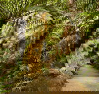 William Ricketts Sanctuary - Attractions
