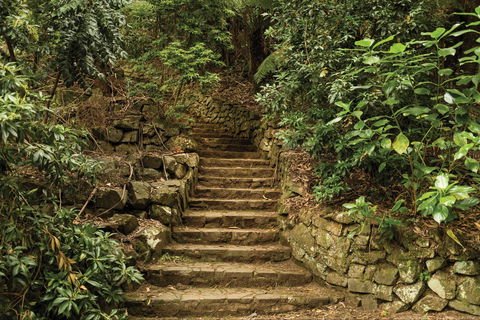 William Ricketts Sanctuary - Attractions 1