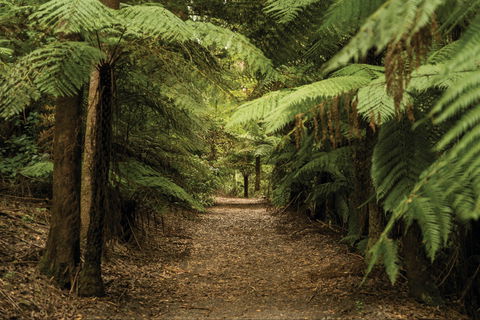 William Ricketts Sanctuary - Attractions 2