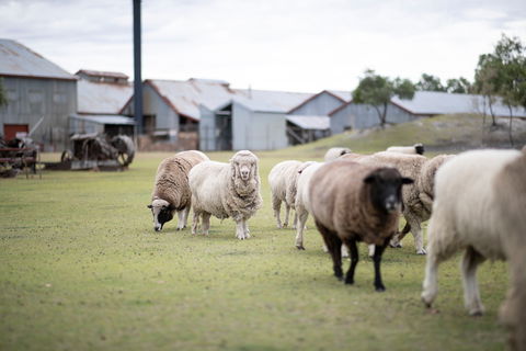 14 Day Gems Of The Outback - Attractions Las Vegas 2