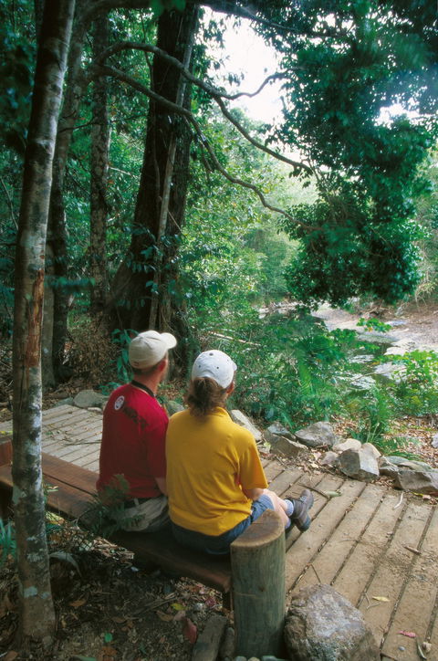 Airlie Beach To Cedar Creek Falls - See Attractions 2