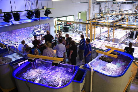 Australian Institute Of Marine Science - Attractions 0