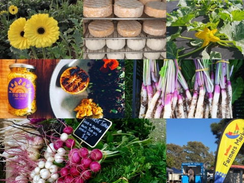 Ballina Farmers Market - Attractions 1