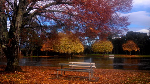 Bells Parade Reserve - See Attractions 0