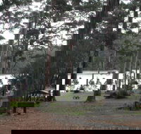 Big Brook Arboretum - Attractions