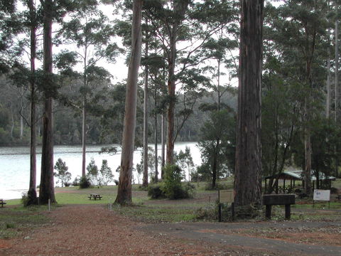 Big Brook Arboretum - Attractions 0