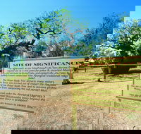 Boab Prison Tree - Attractions