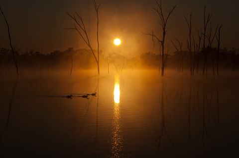Boshack Outback - Attractions 1