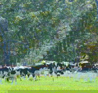 Boyanup - Attractions
