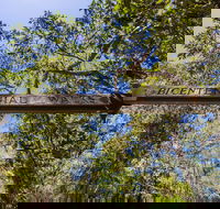 Bribie Island Bicentennial Trails - Attractions