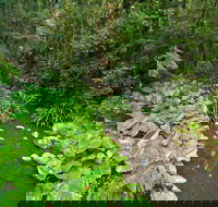 Brindle Creek Picnic Area - Attractions