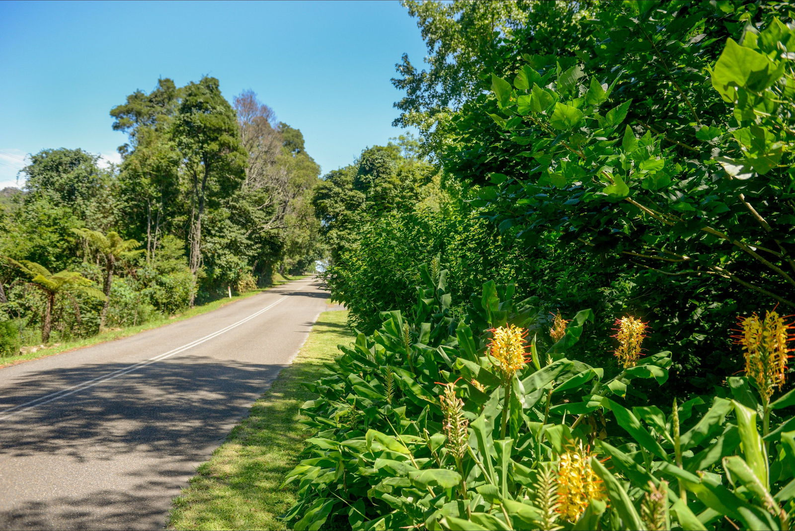 Broughton Vale NSW Attractions