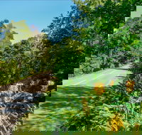 Broughton Vale - Attractions