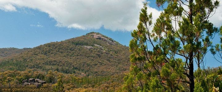 Tintaldra VIC Attractions