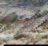 Canning Stock Route - Attractions