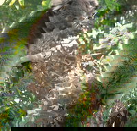 Caversham Wildlife Park - Attractions