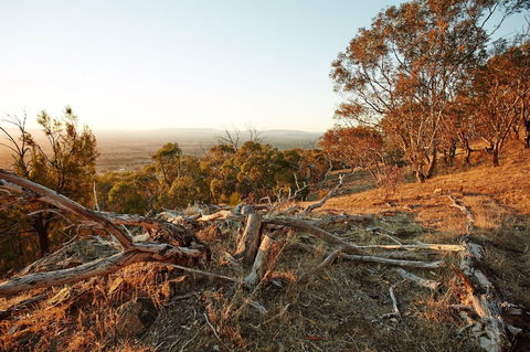 Chick Hill Walk - Attractions 0