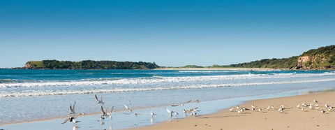 Chinamans Beach Evans Head - Attractions 2