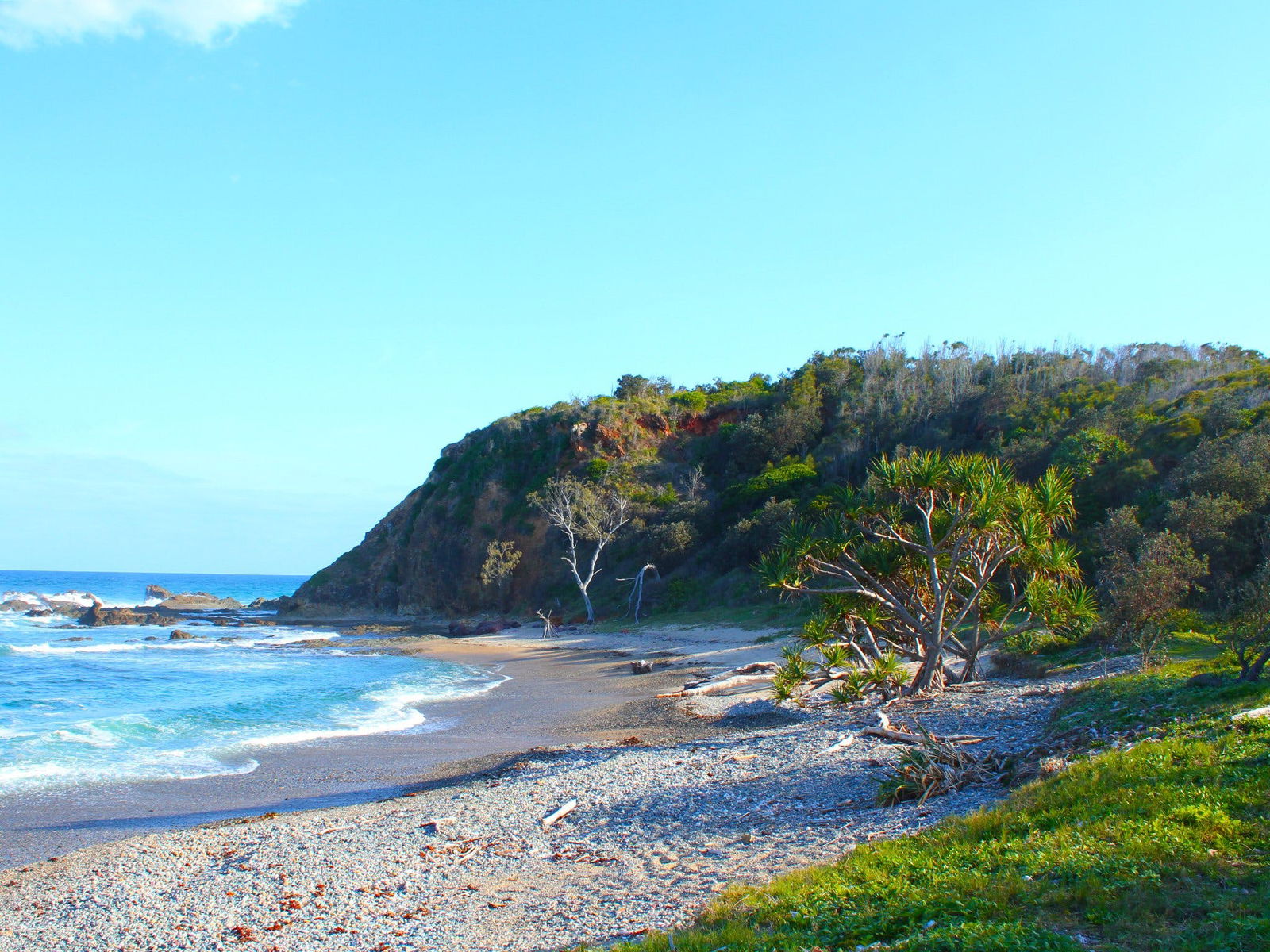 Northern Rivers And Tropical Nsw NSW Attractions
