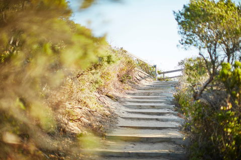 Coppins Walk Track (part Of The Coastal Walk) - Attractions 0