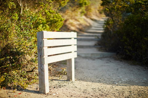 Coppins Walk Track (part Of The Coastal Walk) - Attractions 1