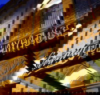 Darlinghurst Theatre Company - Attractions
